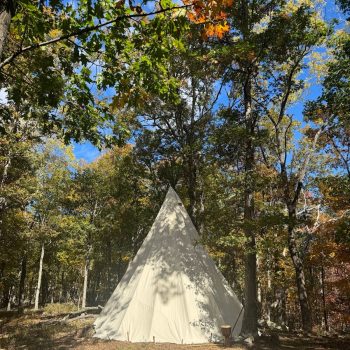 Tipi