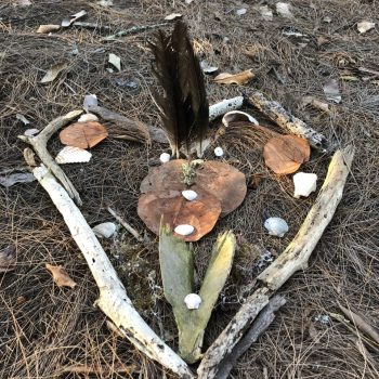 Long boat key, Florida